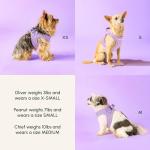 Adjustable Escape Proof Dog Harness for Large Dogs