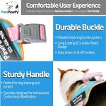 Custom No Pull Dog Harness with Name & Phone Number