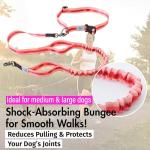 Hands-Free Dog Leash with Waist Belt 5118
