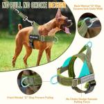 Heavy Duty No Pull Dog Harness with Leash