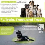 Custom GPS Dog Collar with Safe Zone & App