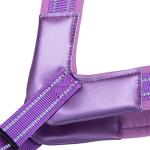 Adjustable No Pull Dog Harness with Leash Clips