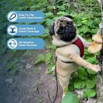 Voyager Step-in Air Harness for Dogs and Cats