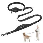 Hands-Free Dog Leash for Large Dogs
