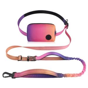 Hands-Free Bungee Dog Leash with Pouch