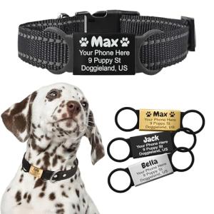 Custom Slide-On Silent Pet ID Tags for Collars