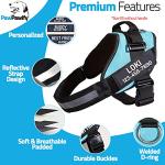 Personalized Reflective No Pull Dog Harness with Patches