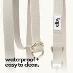 Hands-Free Dog Leash with Treat Pouch