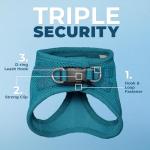Adjustable All-Weather Step-In Pet Harness - Turquoise