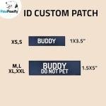 Custom No Pull Dog Harness with Name & Phone Number