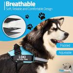 Personalized Reflective No Pull Dog Harness with Patches