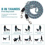 Hands-Free Reflective Dog Leash for Running