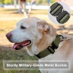 Custom Tactical Dog Collar with Name & Number