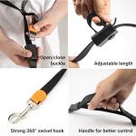 4-in-1 Hands-Free Dog Leash for Active Pet Owners