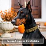 Custom Tactical Dog Collar with Name & Number