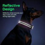 Reflective Dog Collar with Airtag Holder - Black