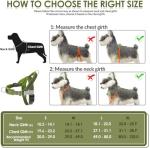 Heavy Duty No Pull Dog Harness with Leash