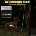 Heavy Duty No Pull Dog Harness with Leash