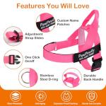 Personalized Dog Harness with Name & Phone Number
