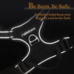 Rabbitgoo No-Pull Dog Harness with Reflective Padding