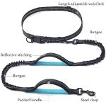 Hands-Free Retractable Dog Leash with Dual Handles