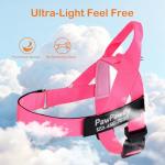 Personalized Dog Harness with Name & Phone Number