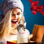 Reflective Breakaway Cat Collars with Name Tags