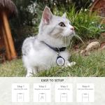 Personalized QR Code Pet ID Tags - 3 Pack
