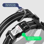 Reflective Dog Collar with Airtag Holder - Black
