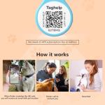 Personalized QR Code Pet ID Tags - 3 Pack