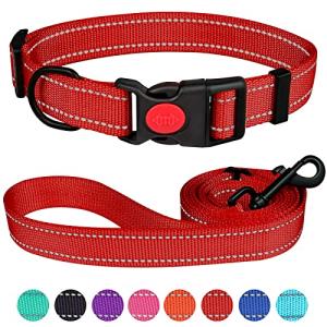 Reflective Nylon Dog Collar and Leash Set