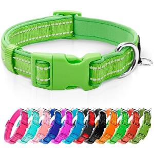 Reflective Neoprene Dog Collar with ID Tag - Green