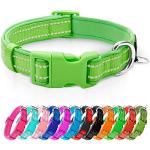Reflective Neoprene Dog Collar with ID Tag - Green