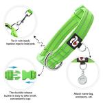 Reflective Neoprene Dog Collar with ID Tag - Green