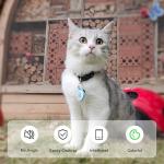 Personalized QR Code Pet ID Tags - 3 Pack