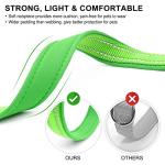 Reflective Neoprene Dog Collar with ID Tag - Green