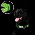 Reflective Neoprene Dog Collar with ID Tag - Green