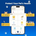 Personalized QR Code Pet ID Tags - 2 Pack