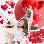 St. Patrick's Day Dog Collars - 6 Pack