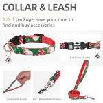 PUPTECK No Pull Dog Harness and Leash Set