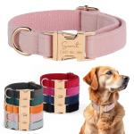 Custom Velvet Harness and Collar Set for Dogs