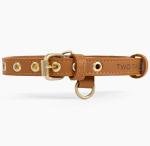 Cactus Vegan Leather Dog Collar with Gold Hardware