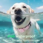 Durable Reflective Dog Collar with AirTag Holder