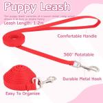 36 Pcs Colorful Puppy Collar and Leash Set