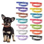 Adjustable Leather ID Collars for Dogs and Cats