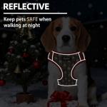 PUPTECK Christmas Dog Harness and Leash Set