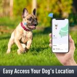 Hot Pink Airtag Collar for Small Dogs