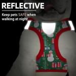 PUPTECK No Pull Dog Harness and Leash Set