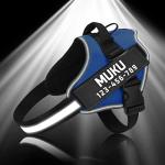 Personalized Reflective No-Pull Dog Harness