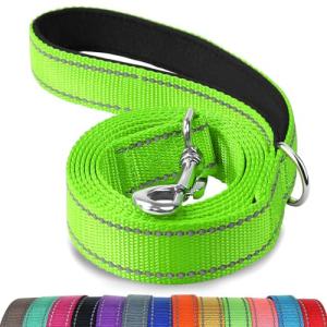 Joytale Reflective Dog Leash with Padded Handle